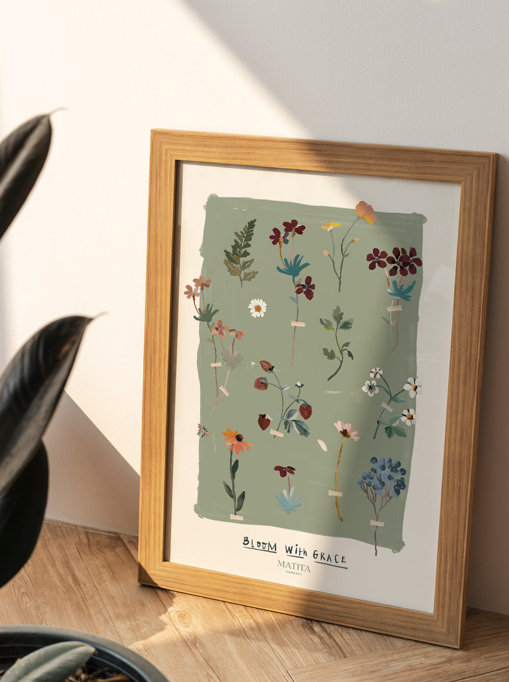 Ilustración Flores Secas Salvia - Concept Matita