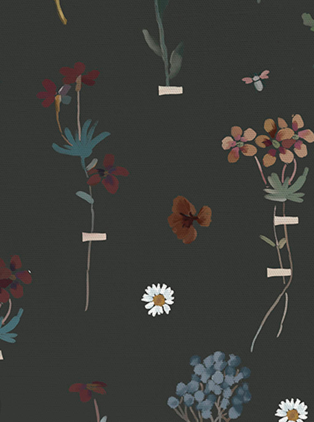 Flores secas - fondo oscuro - Concept Matita
